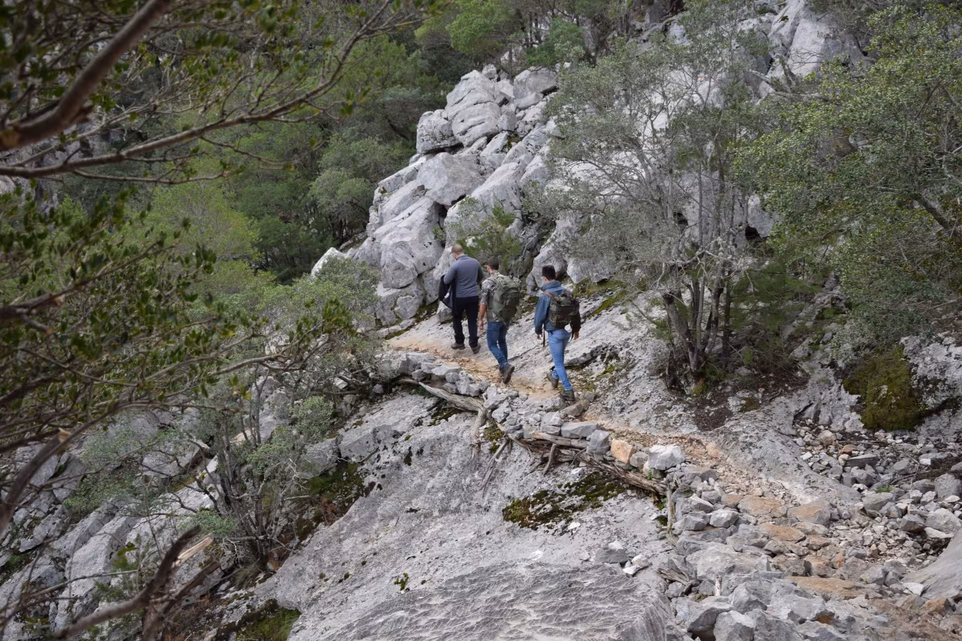 Hikers traverse a rocky trail amidst lush greenery on the way to Sa Nurre de Su Hoda cave in Oliena.