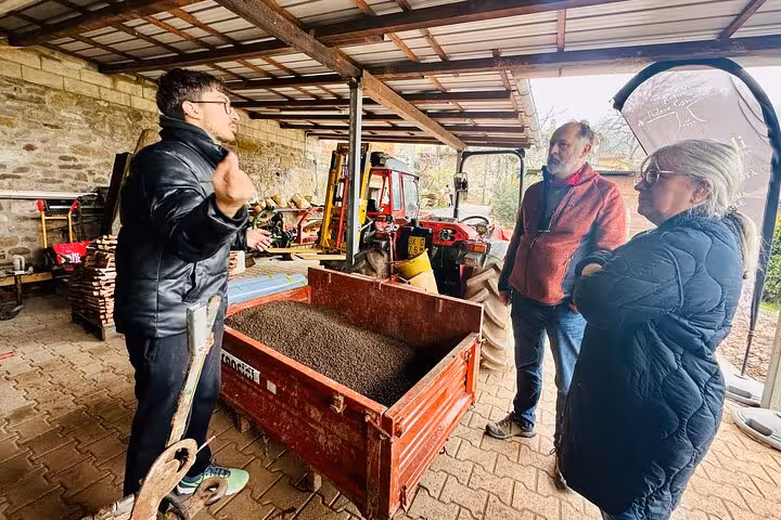 Guide discussing olive processing with visitors, emphasizing interactive learning in the olive grove tour.
