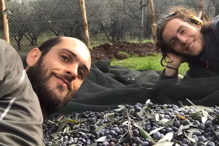 Two men smiling beside freshly harvested olives during an olive grove tour.