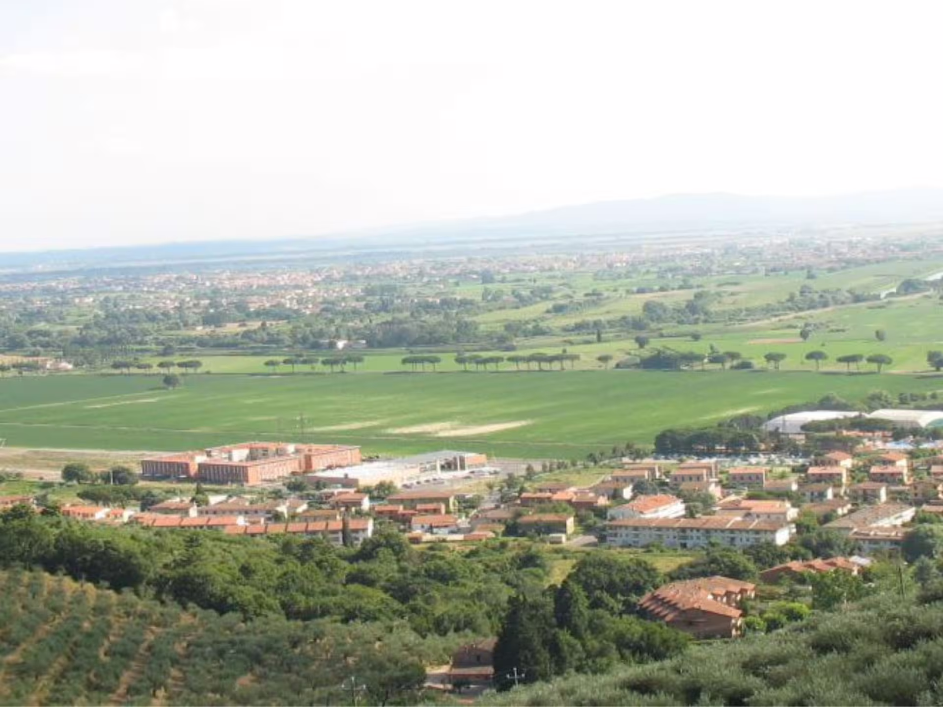Scenic view of lush green landscapes near Pisa, perfect for an authentic olive mill tour experience.