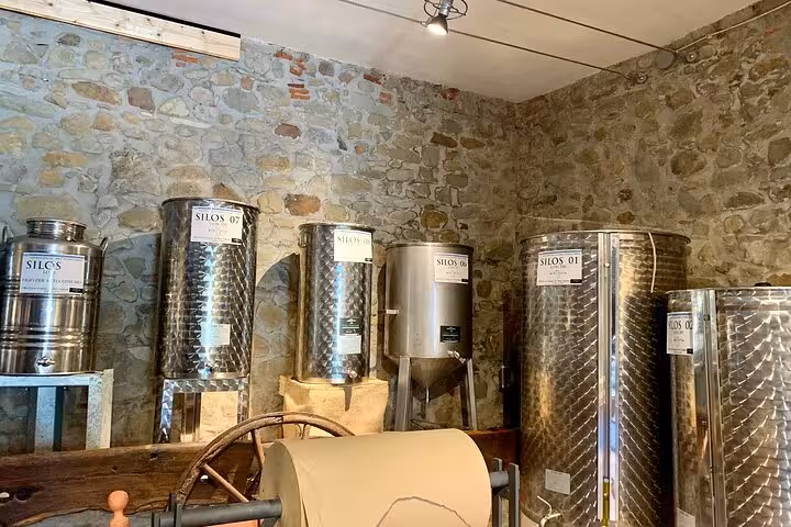 Stainless steel silos in a stone-walled room, used for olive oil storage during a guided tour.