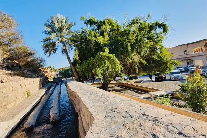 Serene view of Omani falaj irrigation system surrounded by lush trees and traditional architecture, perfect for cultural exploration.