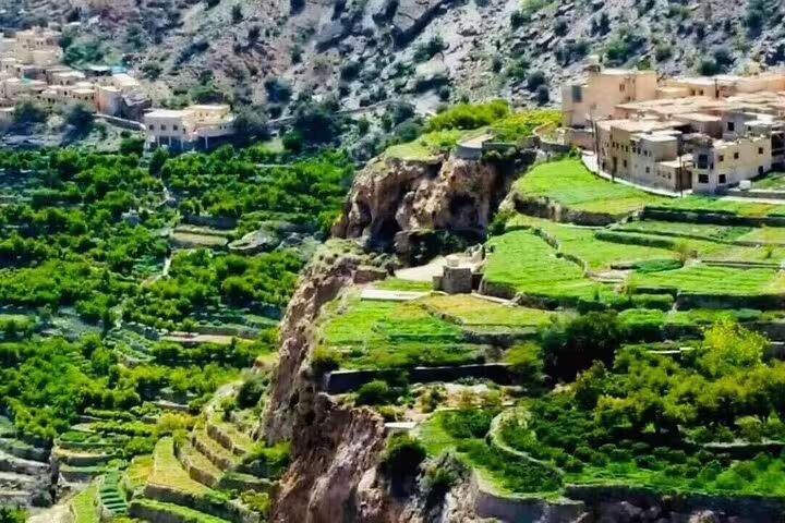 Scenic view of Oman's terraced green fields and traditional village on a rocky hillside, perfect for a private tour.