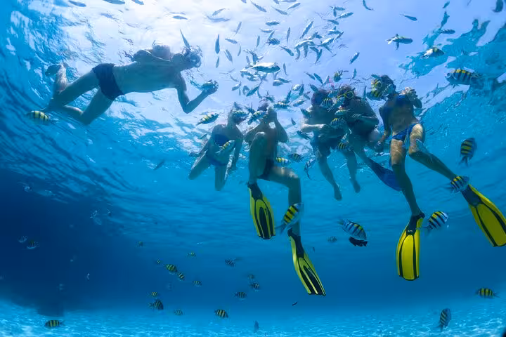 Snorkelers swimming with colorful reef fish in the Red Sea on Orange Bay Giftun Island snorkel tour Hurghada