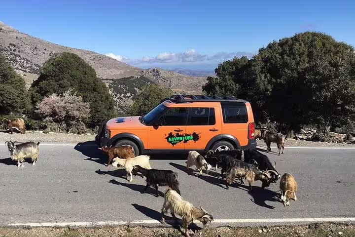 Orange adventure vehicle on a scenic mountain road surrounded by goats near Knossos Palace, ideal for luxury tours.