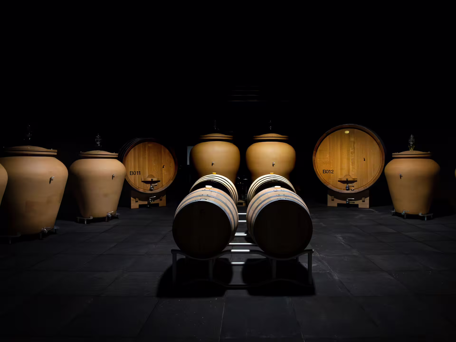 Winery cellar near Turin with oak barrels and clay amphorae, part of an organic wine tasting and food pairing visit