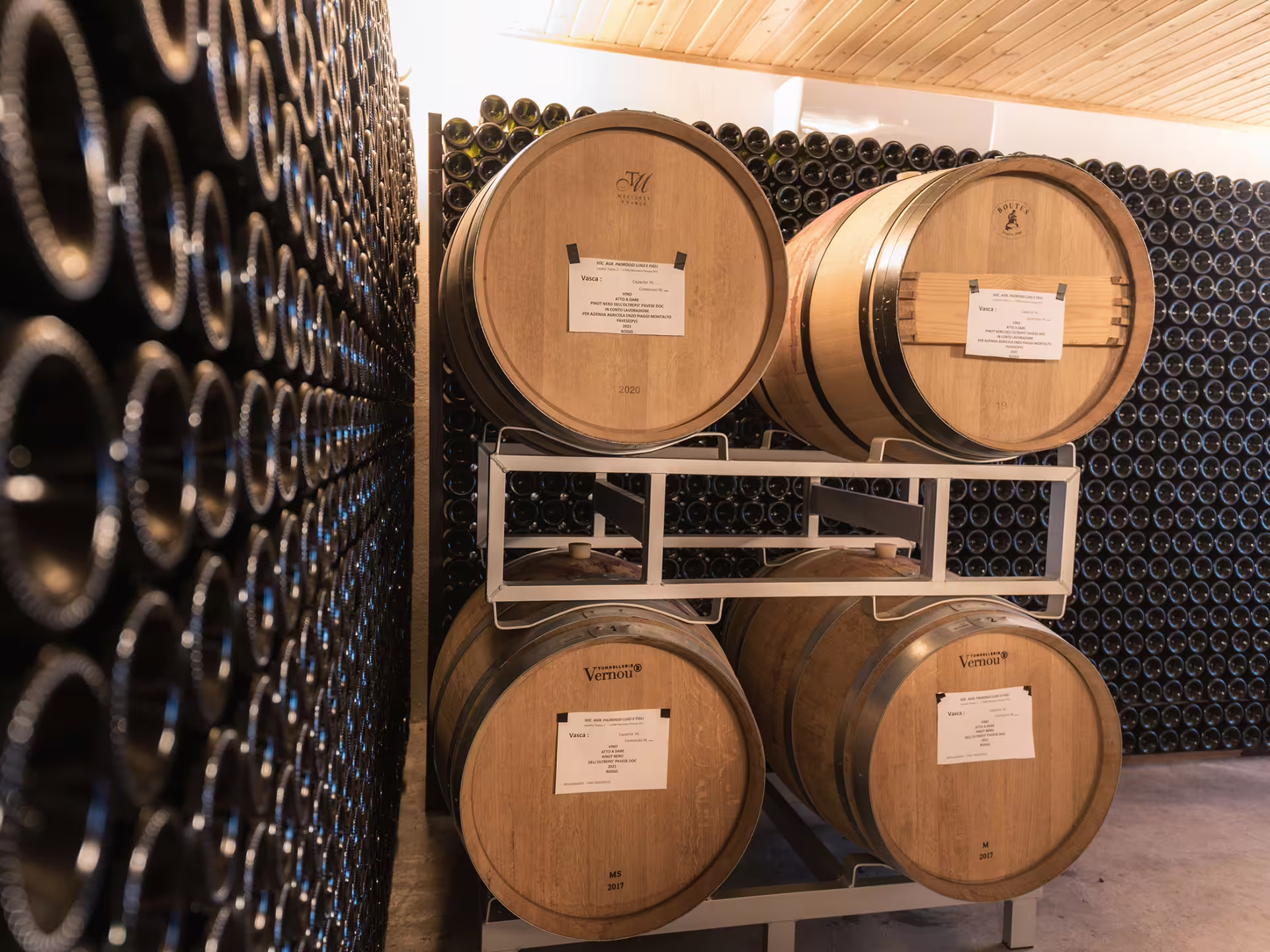 Wine cellar in Pavia with oak barrels and bottle racks, showcasing organic winery tour and tasting experience