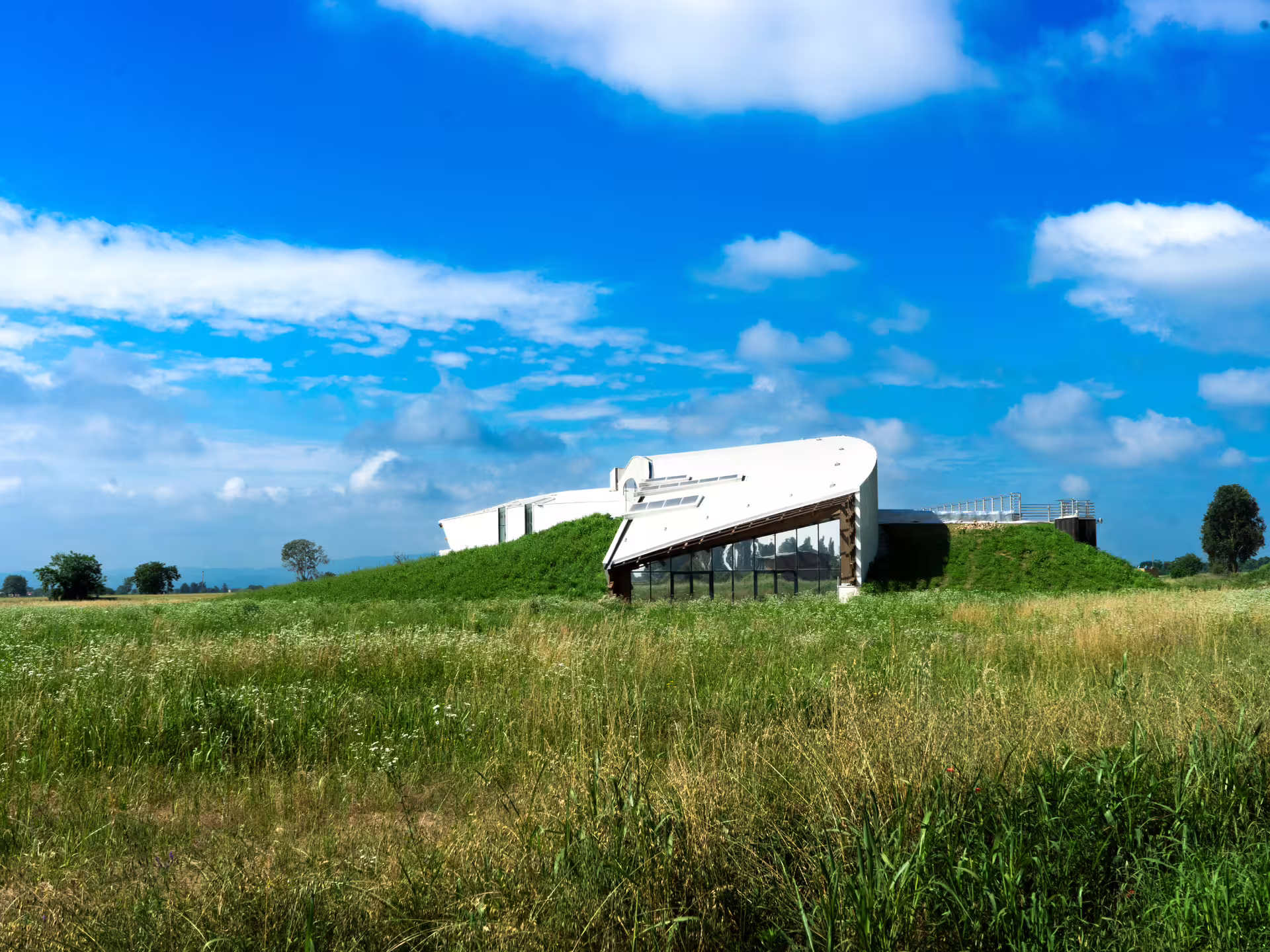 Eco-friendly organic winery near Turin set in green countryside, stop on vineyard tour with wine tasting