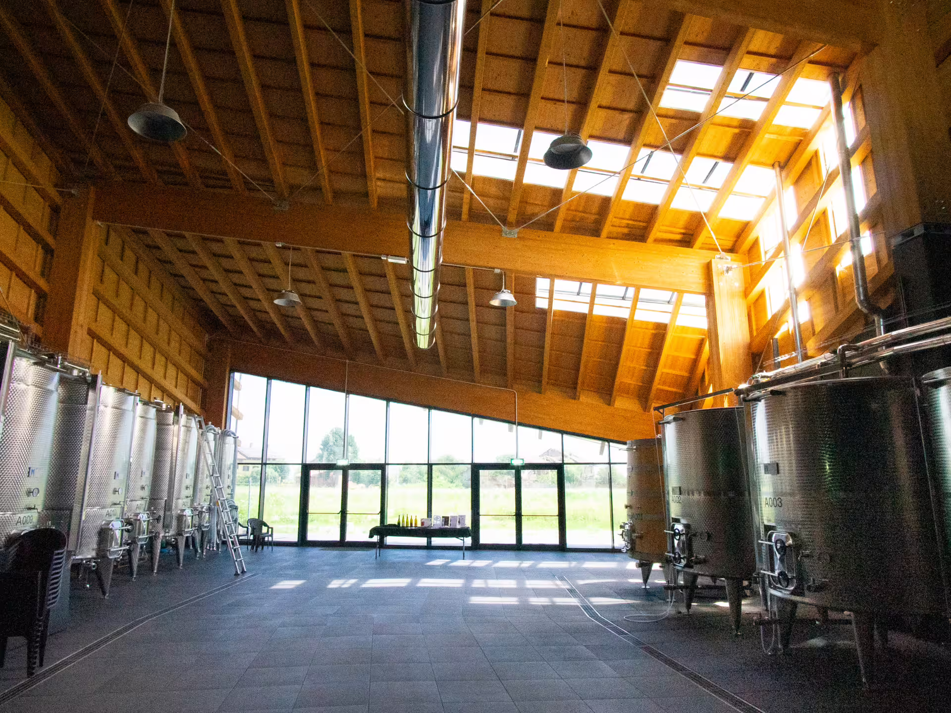 Modern organic winery near Turin with stainless steel fermentation tanks and sunlit tasting area