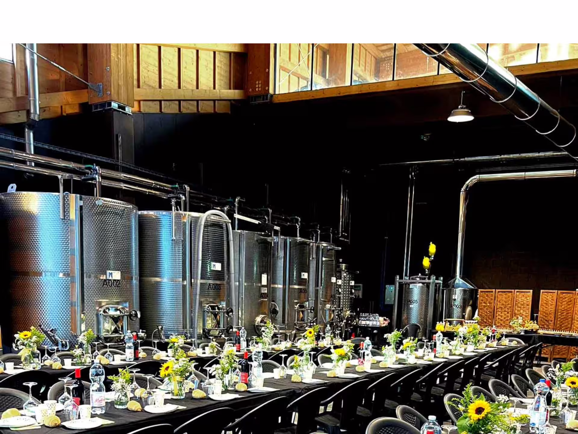 Wine and food tasting table set inside an organic winery near Turin, beside stainless steel tanks