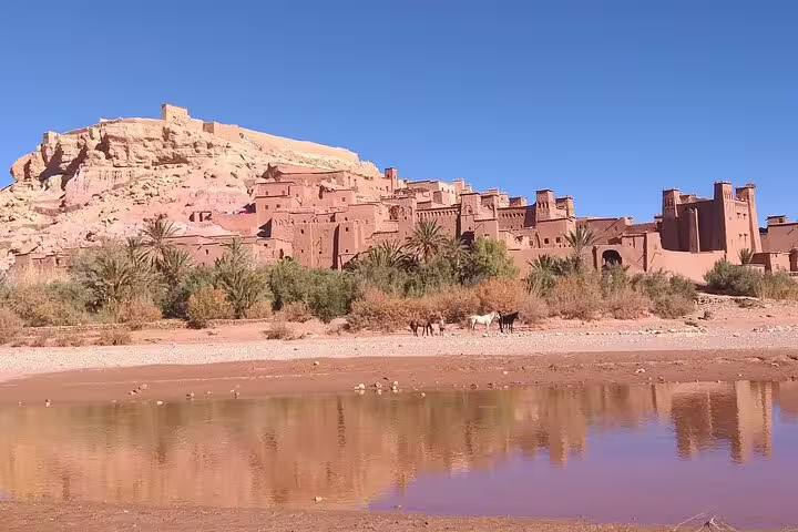 Ouarzazate kasbah and oasis by river on 4 days 3 nights desert tour from Marrakech to Merzouga