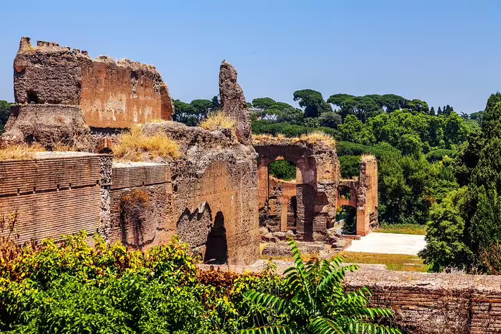 Ancient brick arches of the Palatine Hill ruins surrounded by lush trees on a Rome Colosseum and Circus Maximus private tour