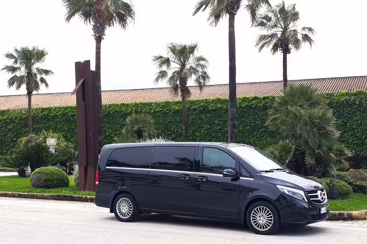 Private Palermo airport transfer minivan parked by palm trees, offering comfortable transport to Campofelice di Roccella hotels