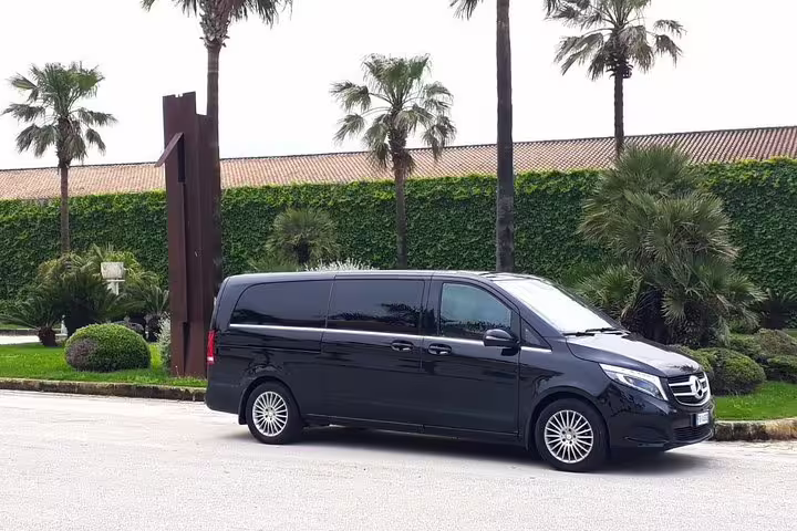Comfortable black minivan parked by palm trees in Palermo, ready for private 4-hour shore excursion from cruise port