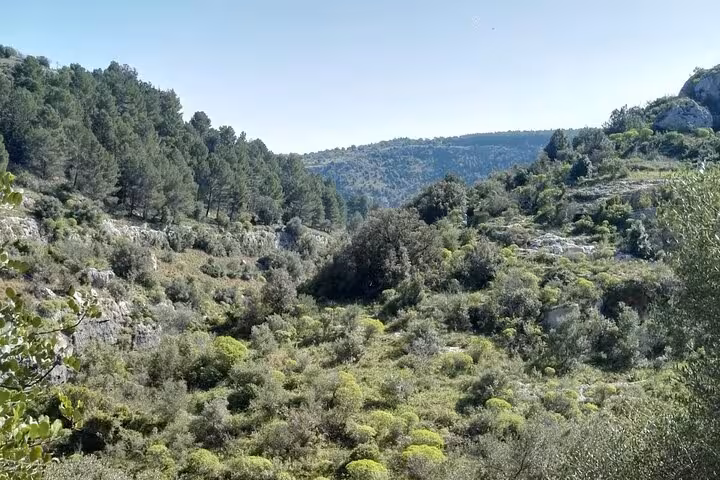 Explore the lush green valleys and rugged hills of Pantalica on a full day tour in Sicily's stunning natural reserve.