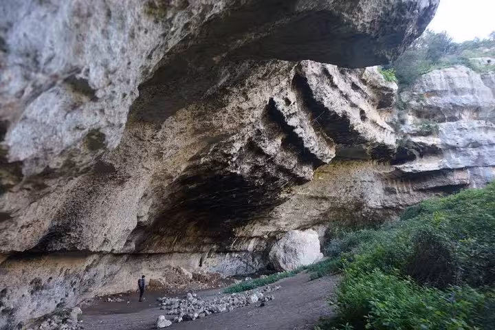 Explore the ancient rock formations of Pantalica, Sicily, on a full-day guided tour through captivating landscapes.