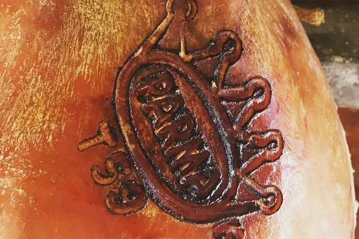 Close-up of a branded Parma Ham showcasing its authentic certification on the Parmigiano-Reggiano and Parma Ham Tour.