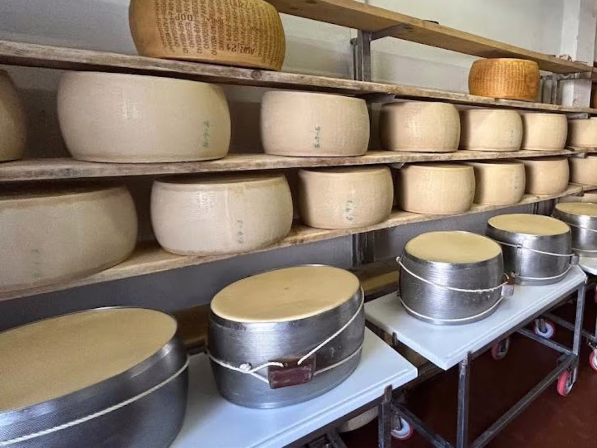 Rows of aging Parmesan cheese wheels in a factory near Parma, perfect for tasting and tours.