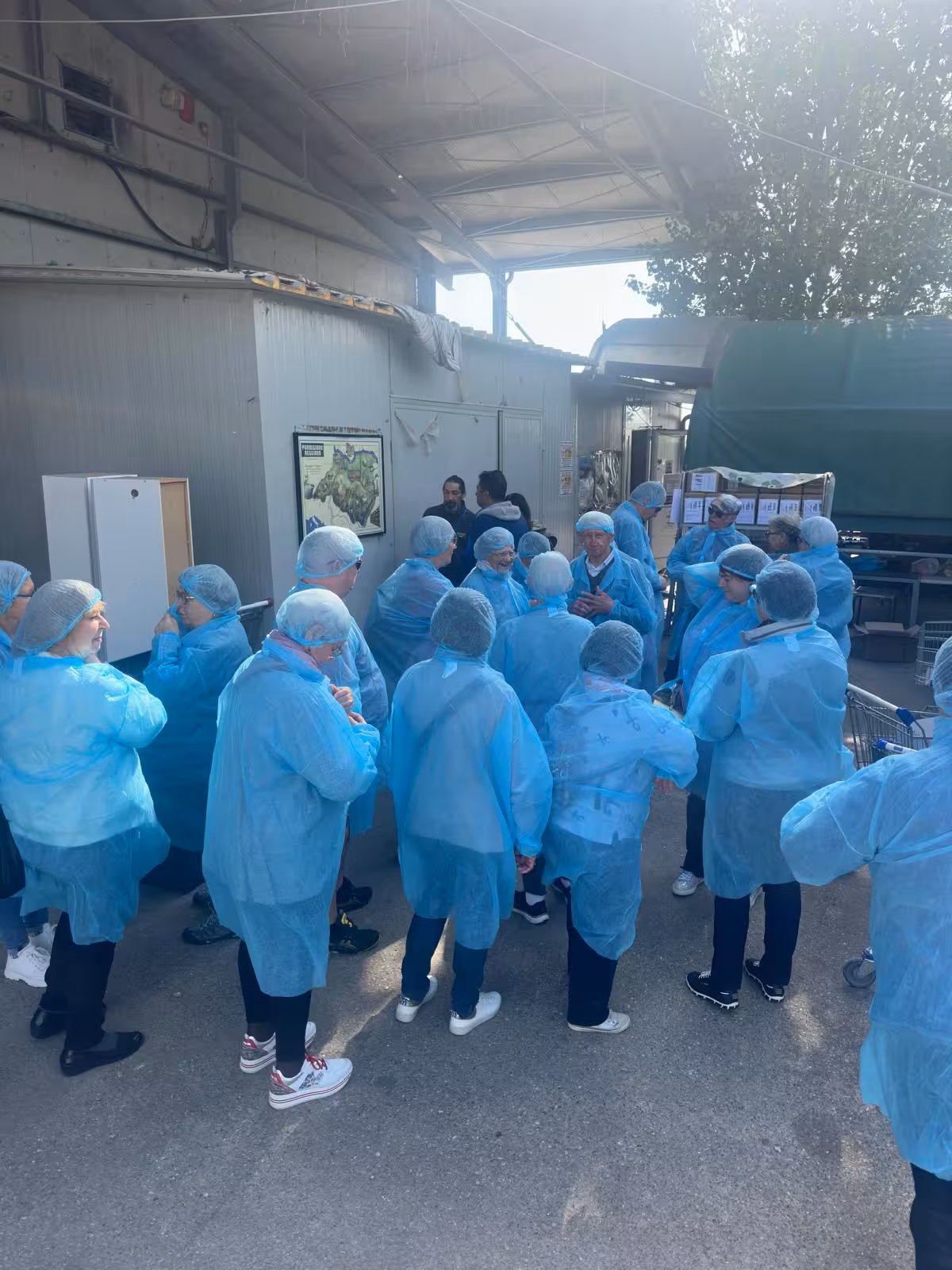 Tour group in blue protective gear listening to a guide at a Parmesan cheese production facility.