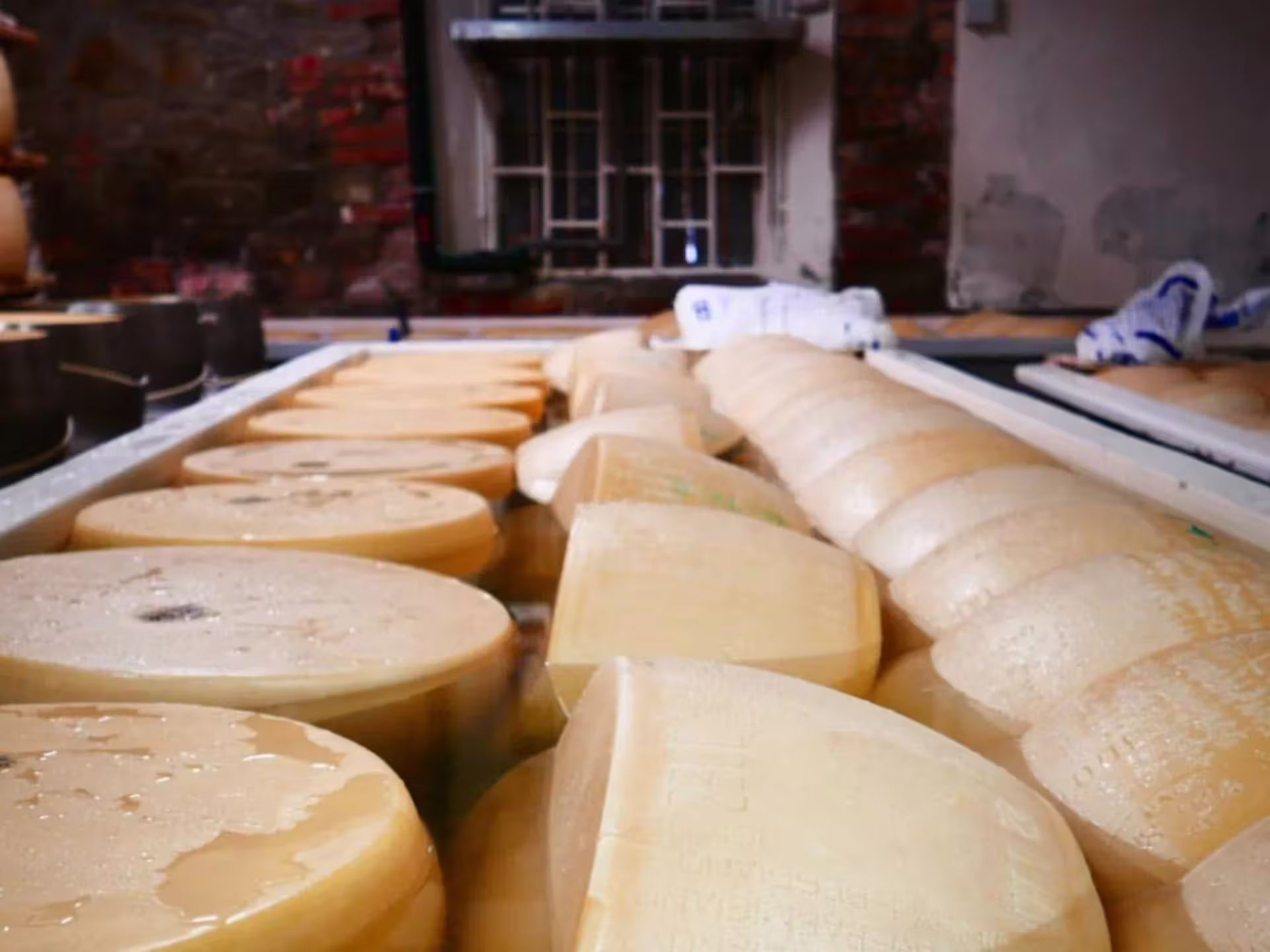 Parmesan wheels soaking in brine at a traditional cheese factory near Parma, Italy, during an immersive tasting tour.