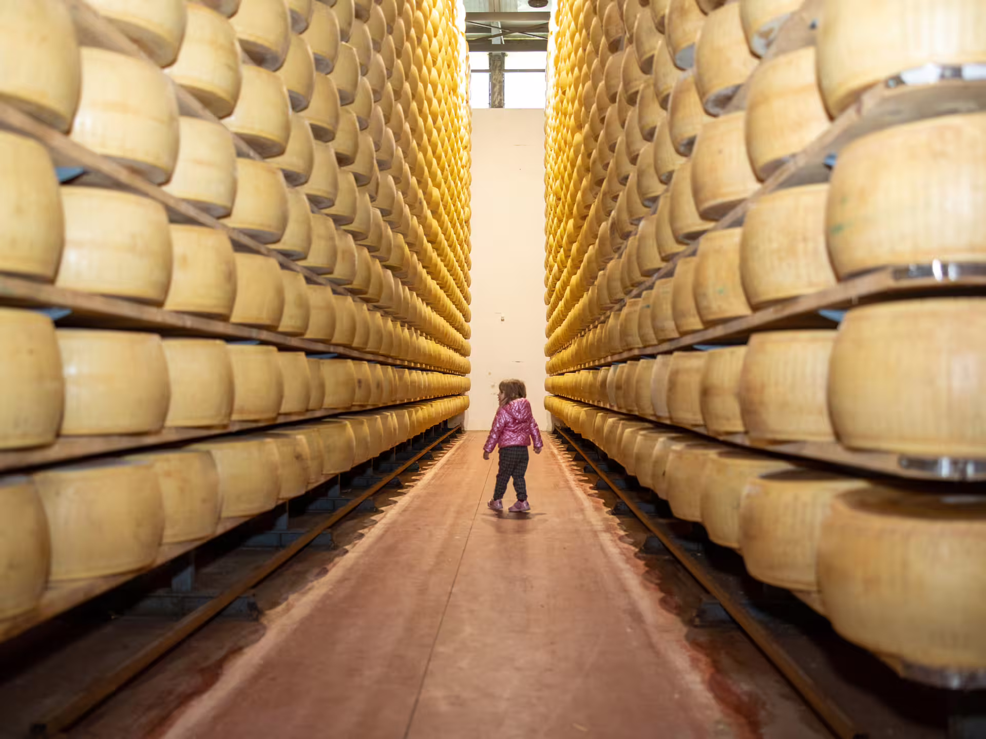 Aging room with rows of Parmigiano Reggiano wheels on racks on a Parmesan cheese factory tour near Modena