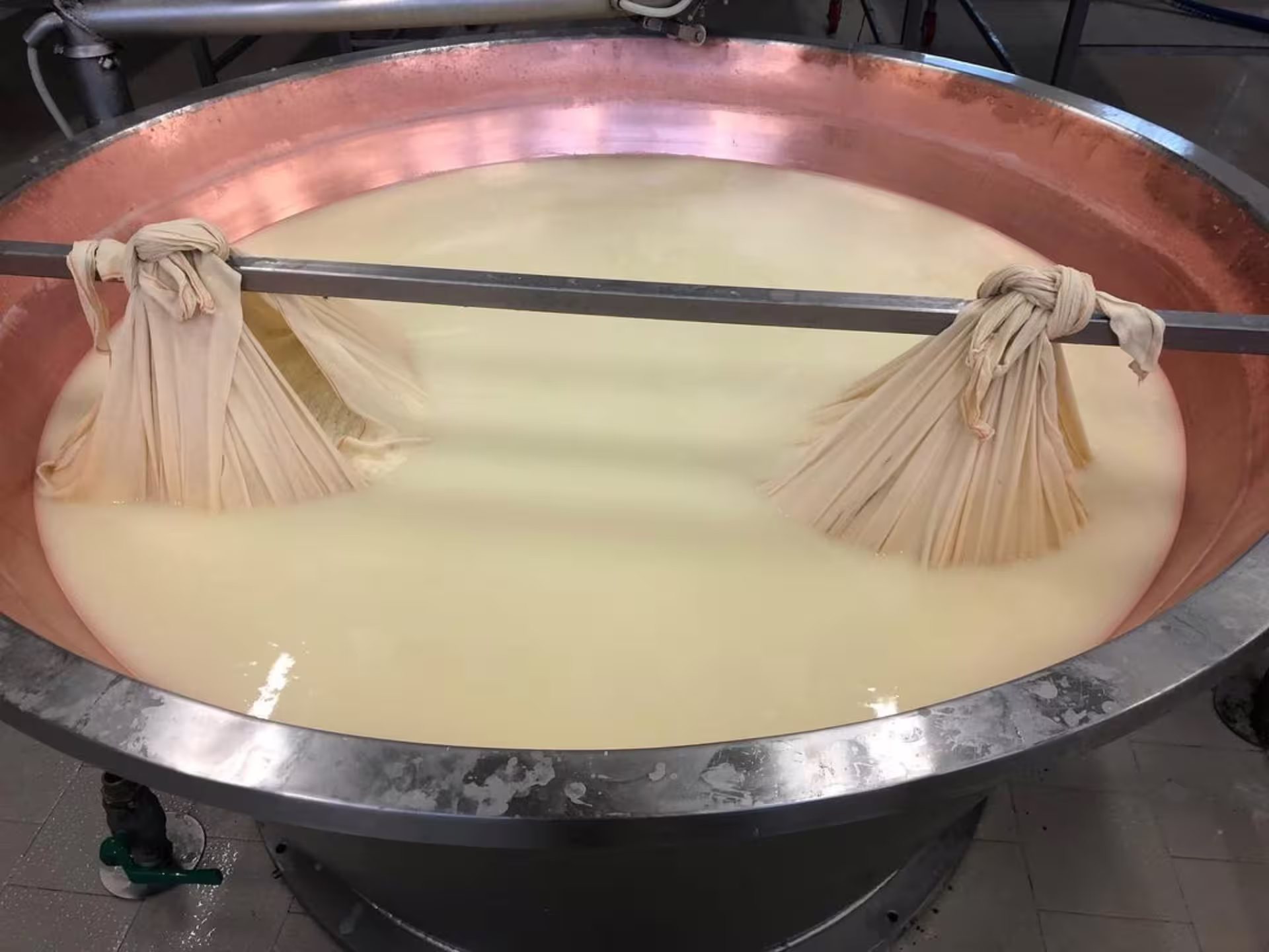 Copper vat with milk curdled for Parmigiano Reggiano, a key step on the Parmesan cheese factory tour near Modena