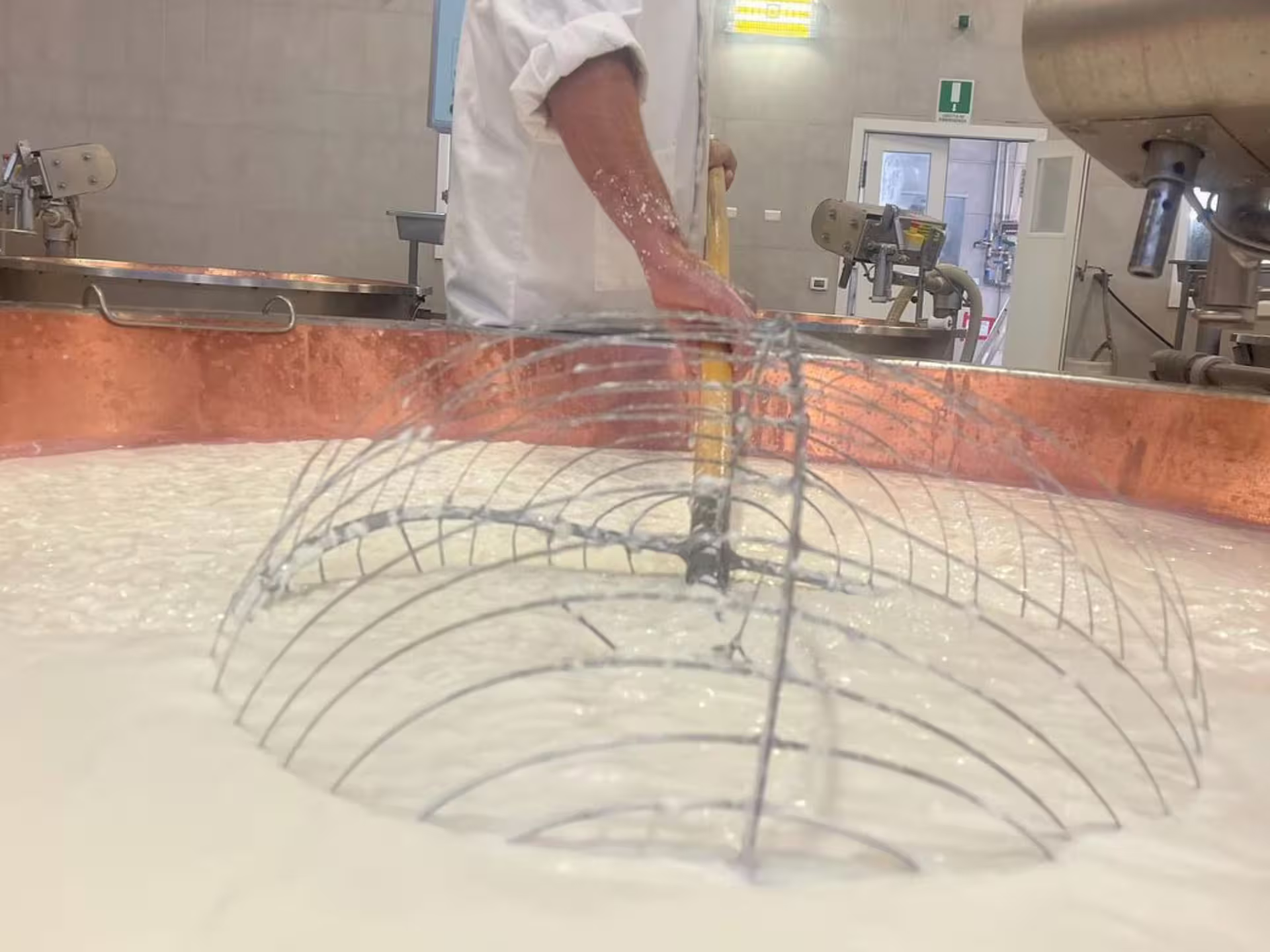 Fresh milk curds stirred in copper vat during Parmigiano Reggiano making on a Modena Parmesan tour and tasting