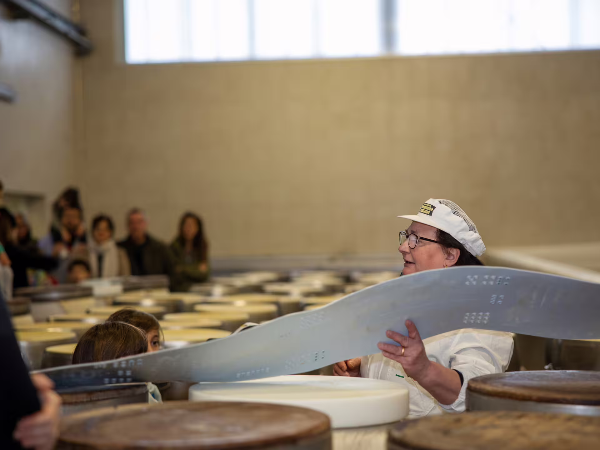Cheesemaker demonstrates Parmigiano Reggiano wheel cutting during a Parmesan factory tour near Modena