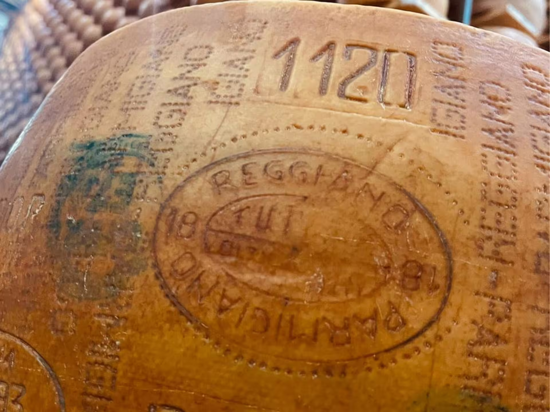 Close-up of stamped Parmigiano Reggiano wheel during Parmesan cheese tasting and factory tour near Modena
