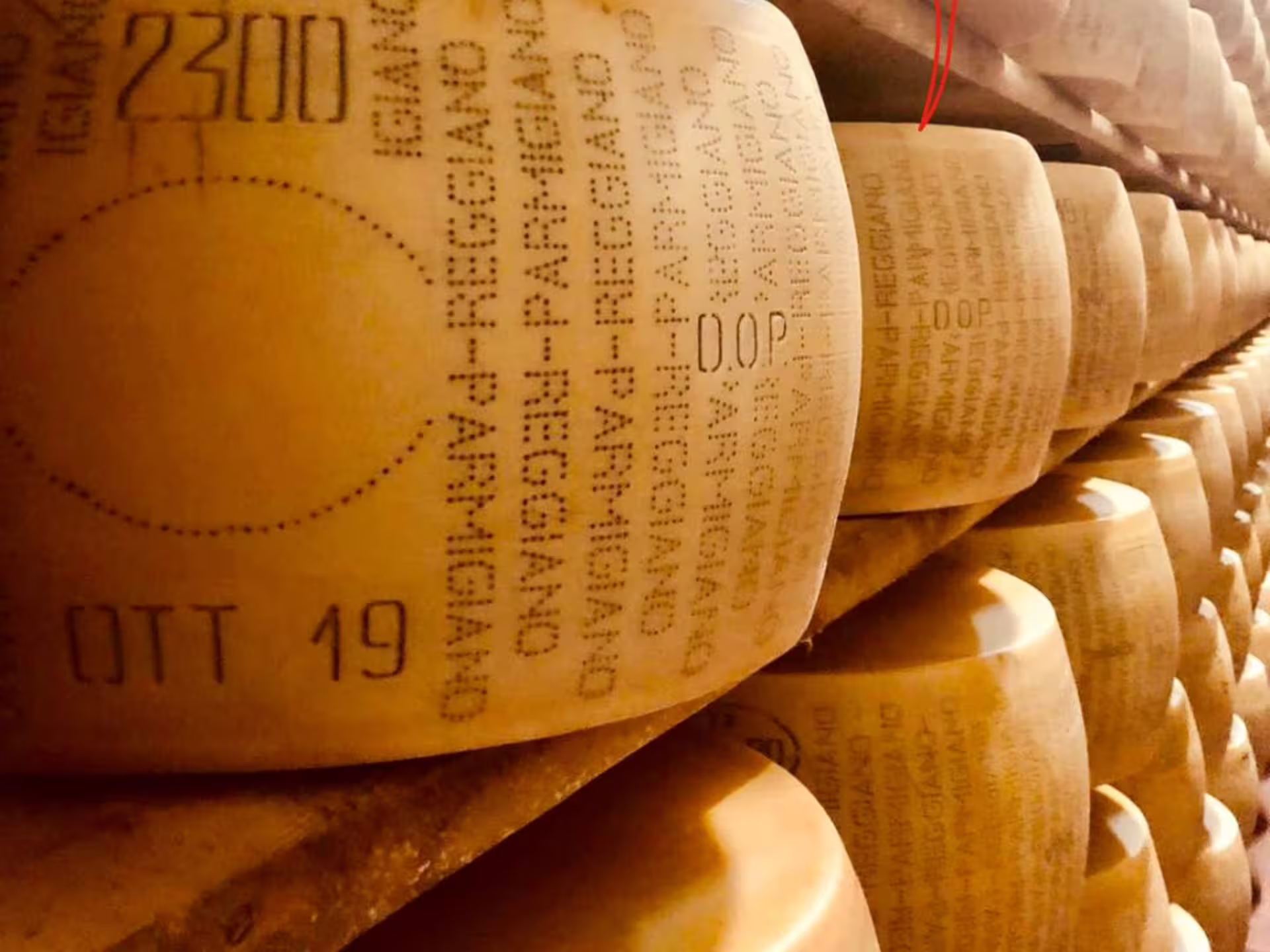 Rows of aged Parmigiano-Reggiano wheels in a Parma cheese factory, showcasing traditional Italian craftsmanship.