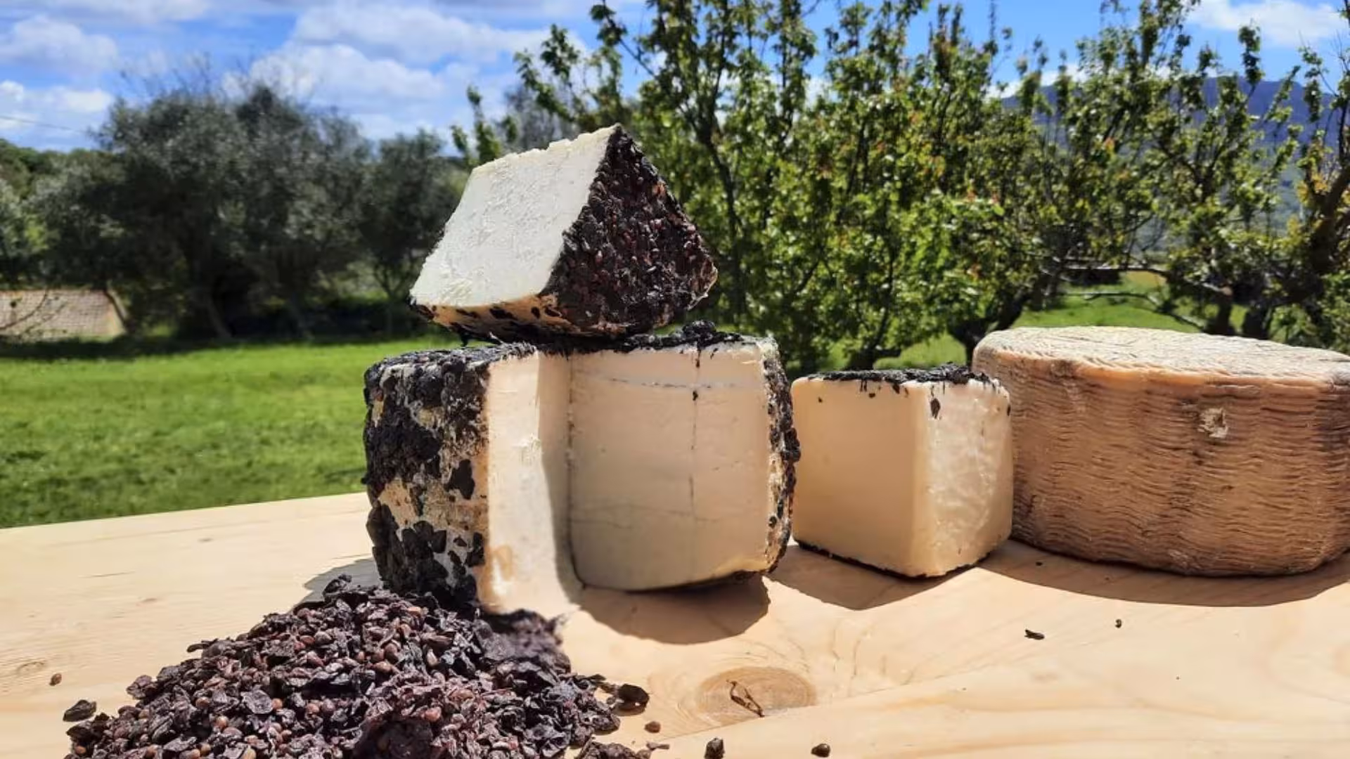 Assorted artisanal cheeses on a wooden table with a scenic view in Pattada, perfect for cheese tasting tours.
