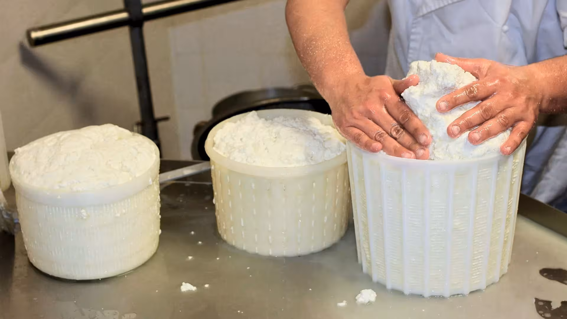 Hands shaping fresh cheese curds into molds at Pattada cheese factory in Sardinia for artisanal tasting tour.