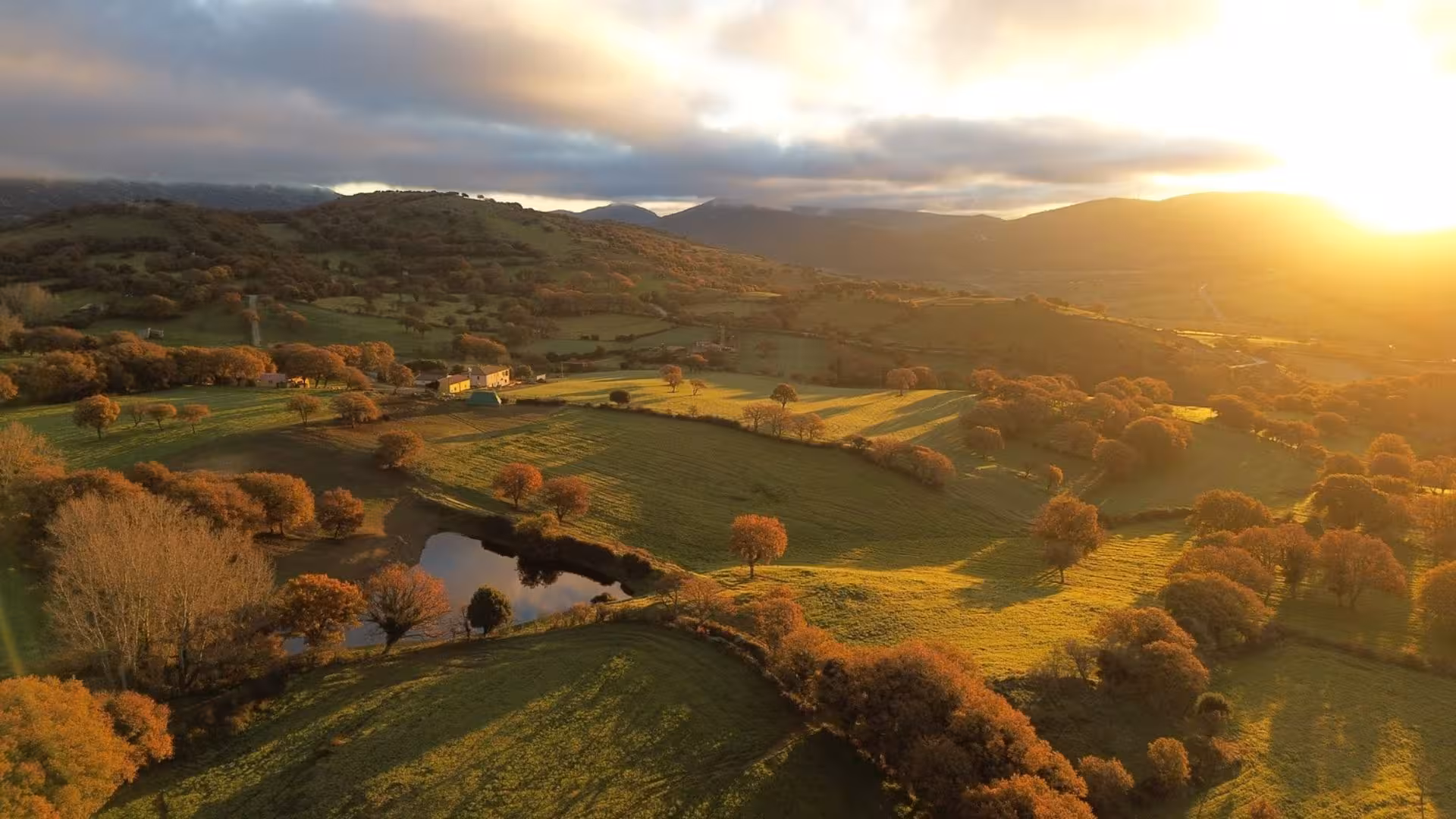 Aerial view of Pattada's picturesque landscape at sunset, showcasing rolling hills and serene cheese farm surroundings.
