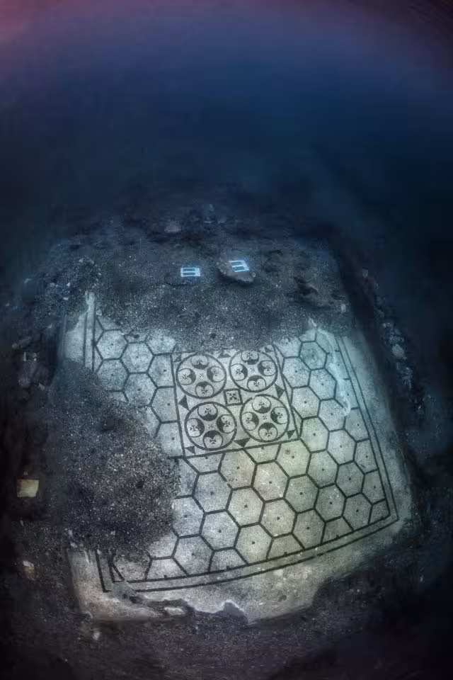 Mosaic of the "Pelte" as seen from the surface, it is one of the biggest in the Park of Baia, and it displays black and white shields.