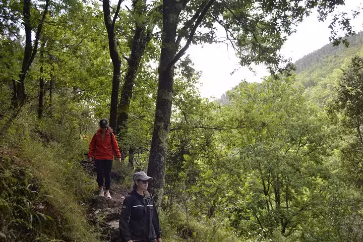 Hikers exploring lush trails in Peneda Geres National Park on a private tour from Porto.