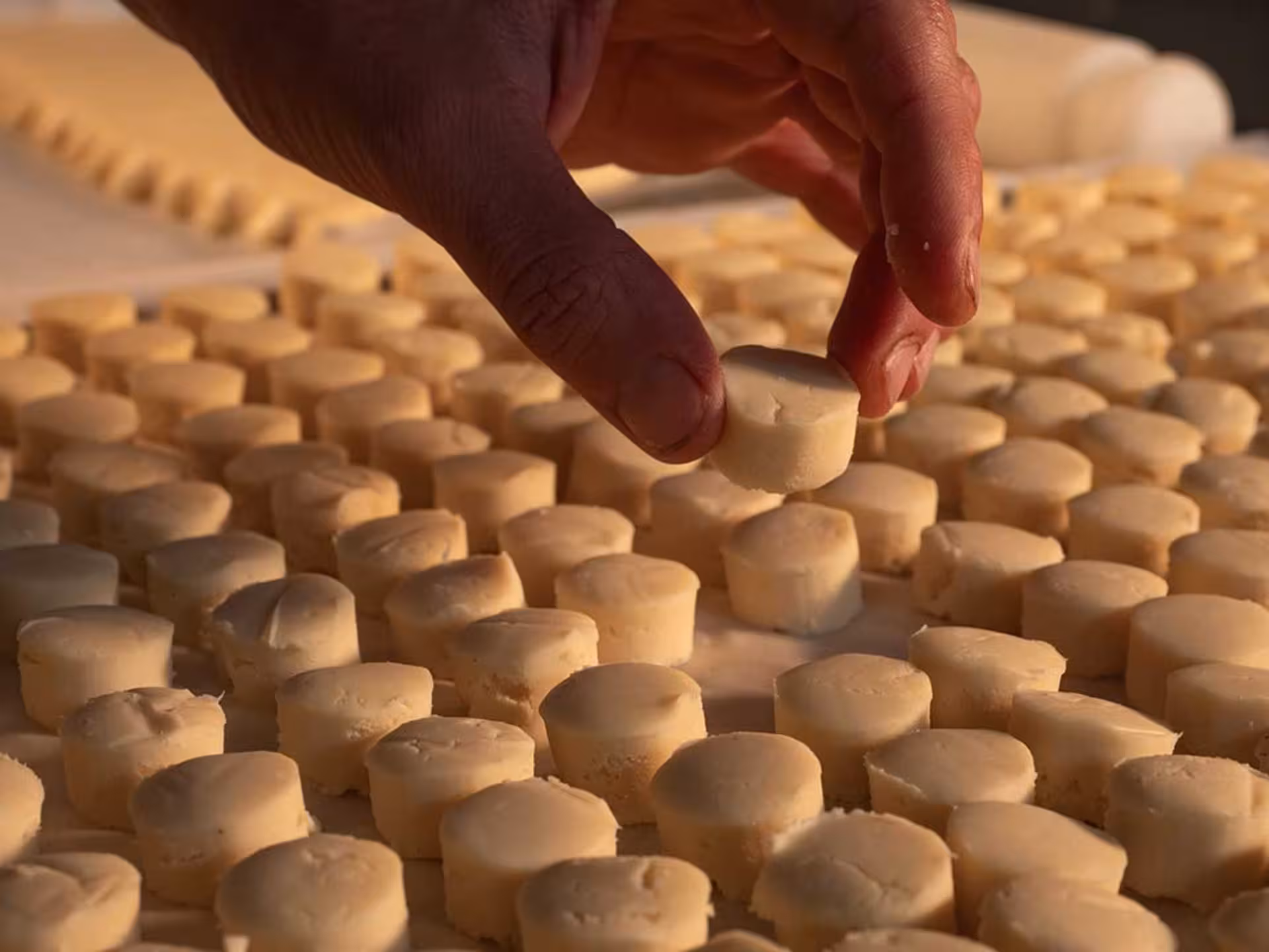 Hand arranging white chocolate pieces, offering a glimpse into the craftsmanship on the Perugia Chocolate Factory Tour.