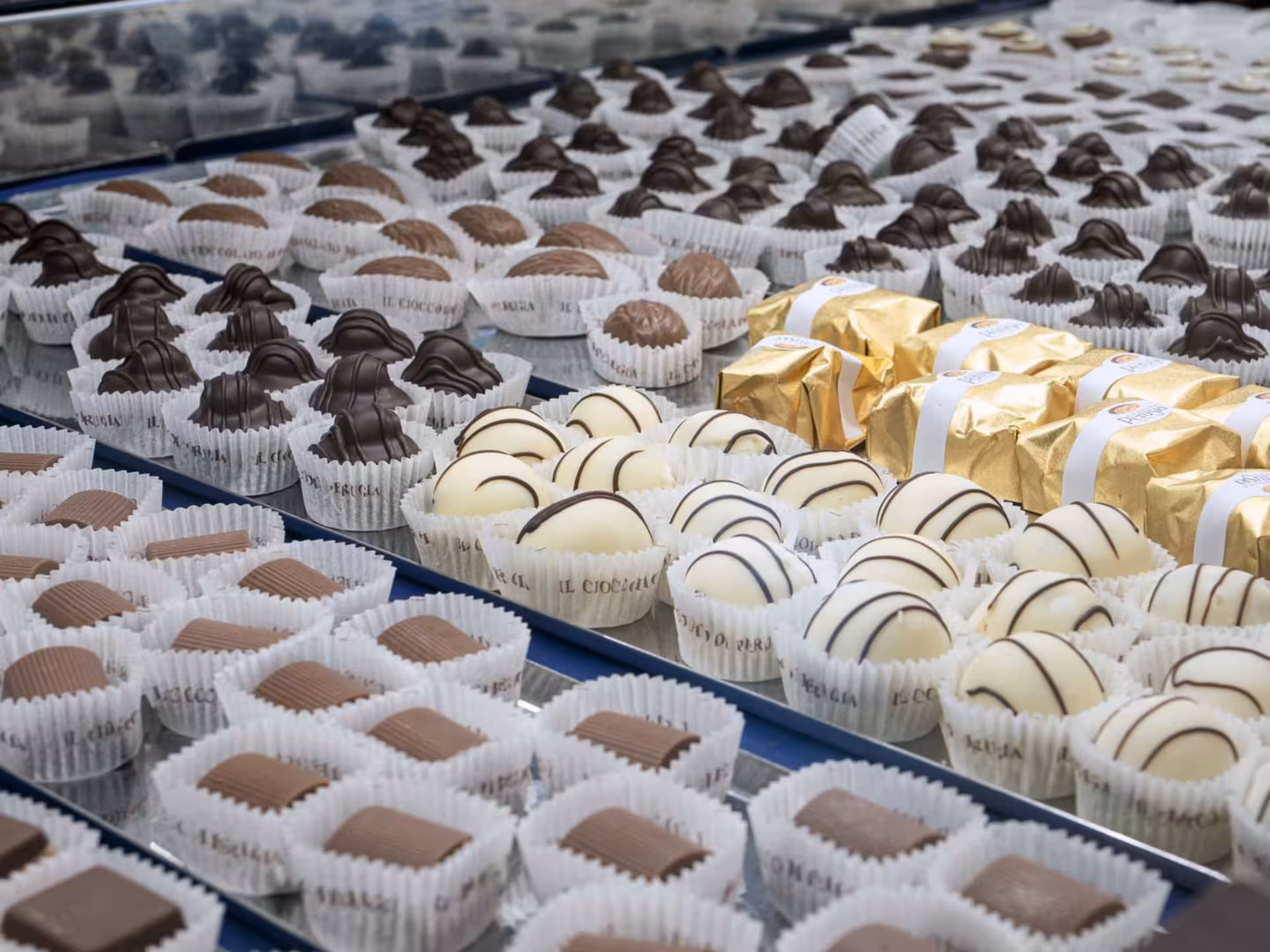 Assorted gourmet chocolates on display at a Perugia factory, highlighting the variety offered on the chocolate tour.