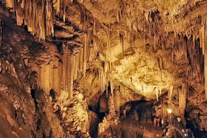 Guided visit to Petralona Cave in Halkidiki with stalactites, on a Thessaloniki to Halkidiki private day tour