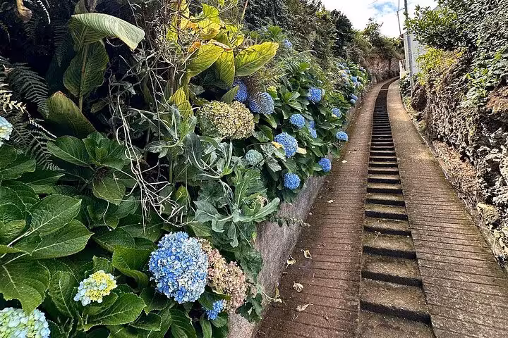 Hydrangea-lined levada path with steps in Madeira, scenic stop on Pico do Areeiro to East 4x4 trip