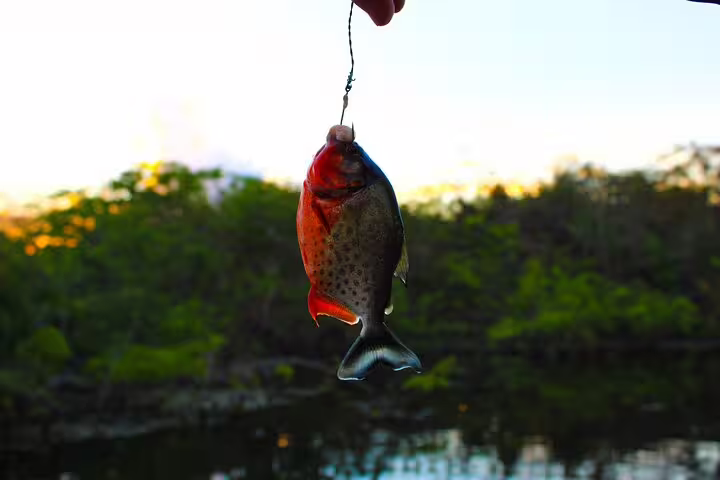 Caught piranha dangling at sunset, showcasing Amazon Mamori Lodge's thrilling fishing experience in the jungle.