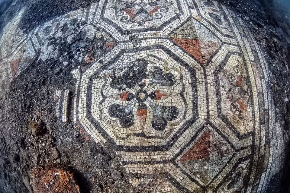 Polycromus mosaic in the Thermae of Lacus, displayng a geometric shape with flowers.