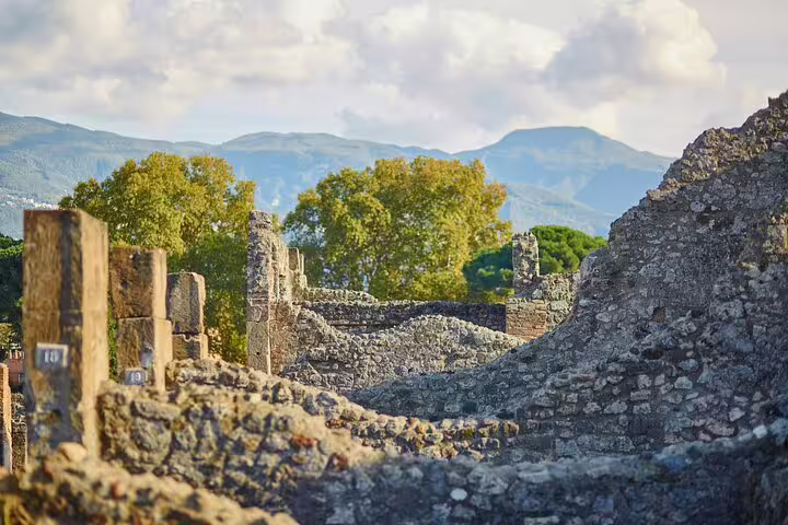 Ancient stone ruins of Pompeii with lush trees and Mount Vesuvius in the background on a private guided archaeology tour