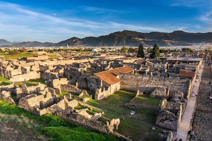 Panoramic view of Pompeii archaeological site on a private guided tour from Naples with Vesuvius vineyard stop