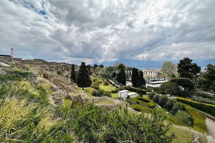 Discover the lush landscapes and ruins of Pompeii with a guided tour including tickets and lunch from Sorrento.