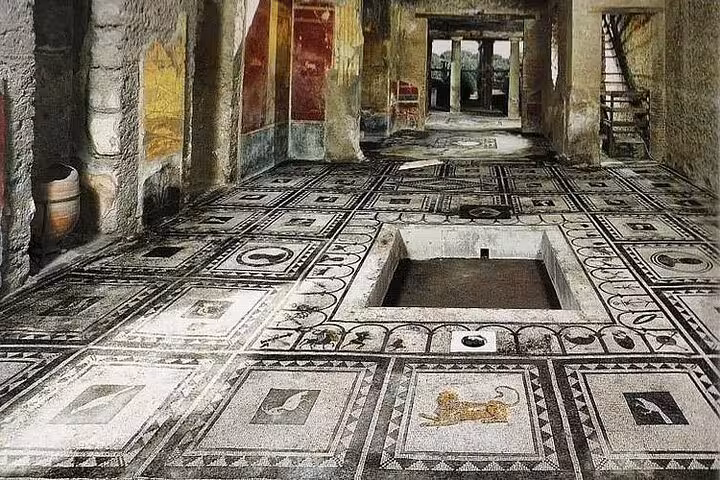 Admire intricate mosaic floors in a historic residence on a skip-the-line Pompeii guided tour, showcasing ancient artistry.