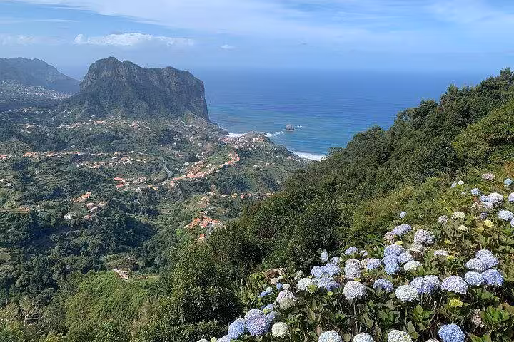Coastal panorama with hydrangeas and Atlantic views on Madeira east 4x4 expedition to Ponta São Lourenço