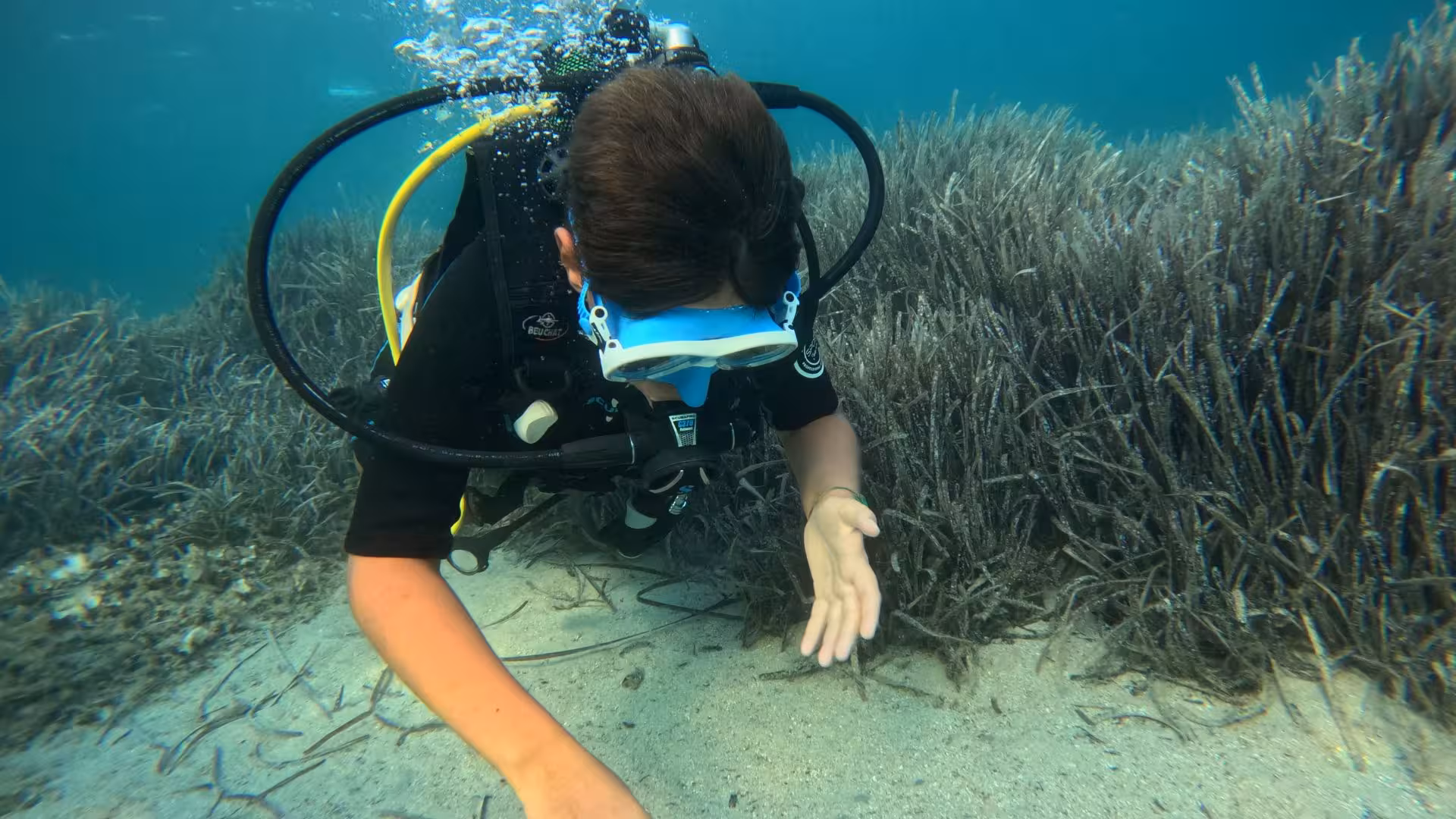 Diver explores vibrant underwater flora in Porto Torres during an exciting diving baptism experience.