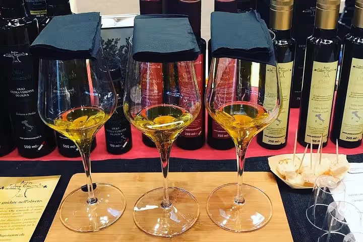 Three glasses of olive oil with tasting notes, showcasing premium oils during a guided tasting tour.