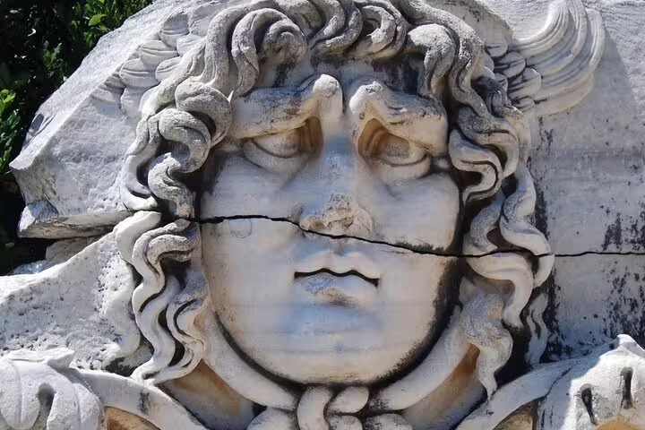 Medusa head