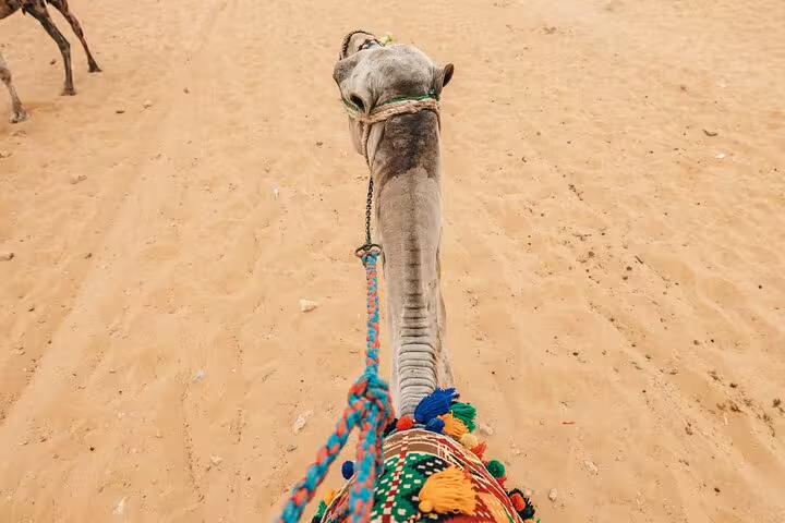 First-person view on a private camel ride in Giza desert, colorful saddle and reins for Pyramids tour
